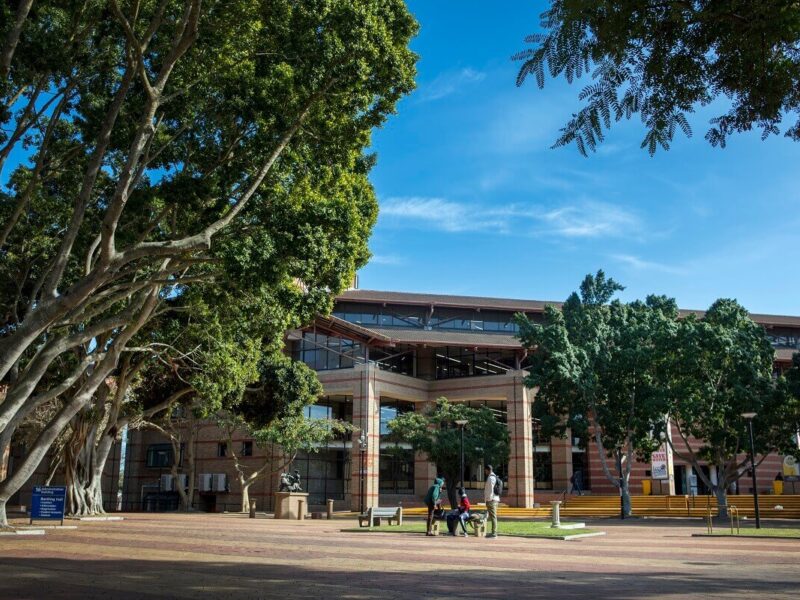 University of the Western Cape (UWC)